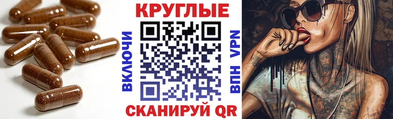 мориарти клад  Алатырь  ЭКСТАЗИ XTC 