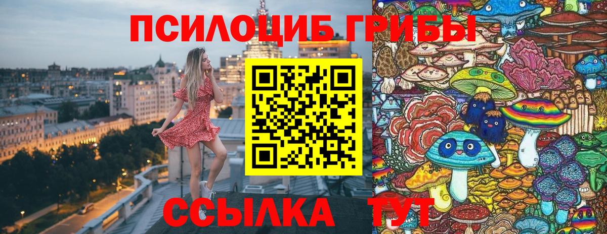 Галлюциногенные грибы GOLDEN TEACHER  Псилоцибиновые грибы Cubensis  Вход с VPN  Алатырь 