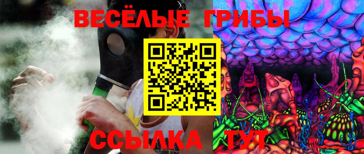 Галлюциногенные грибы MAGIC MUSHROOMS Алатырь